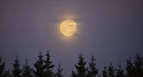 moon-månen-maanen1612